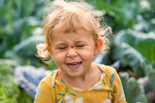 the child holds a ladybug in his hands. Selective focus. nature.