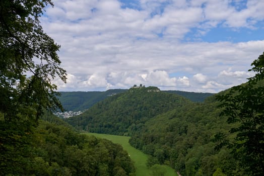 Beautiful landscape, fresh fir trees forest, green grass field, scenery valley in the mountains, clear blue sky, summer traveling concept. a beautiful view of the austrian alps. Сomposite autumn landscape. hillside meadow in mountains. few fir trees of forest on both sides of the road