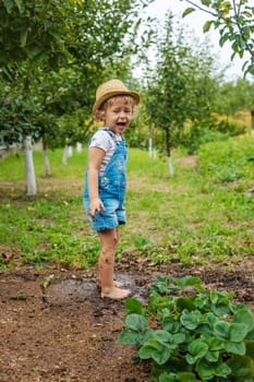 a child in the dirt in the garden holds the soil in his hands. Selective focus. Kid.