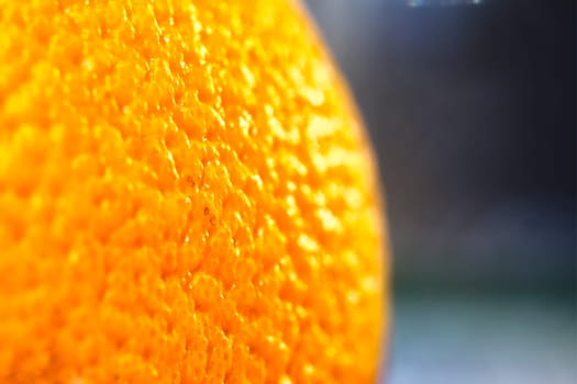 orange skin macro texture close-up color
