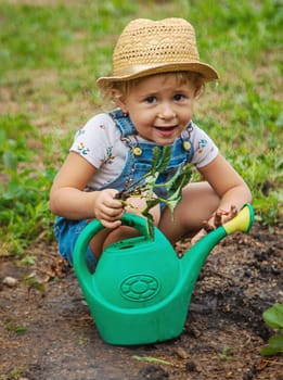 a child plants strawberries in the garden. Selective focus. nature.