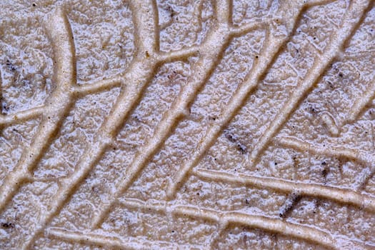 Texture of wet sand with Wheel track background