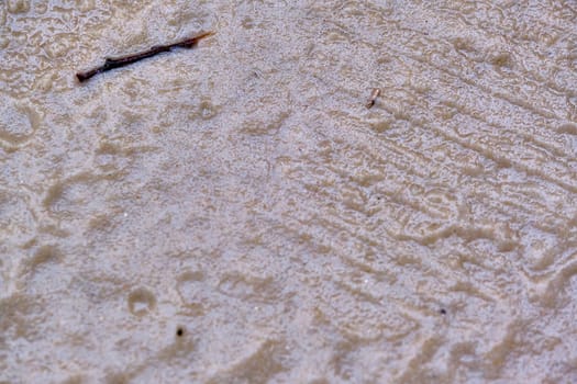 The texture of wet sand. Close-up, top view.