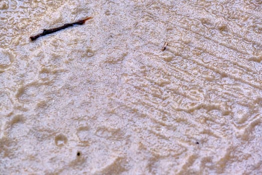 The texture of wet sand. Close-up, top view.