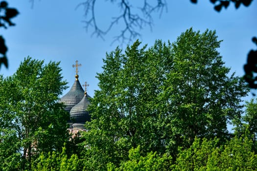 Russia-2020. Church domes of the Orthodox Church behind the trees. general plan. daylight