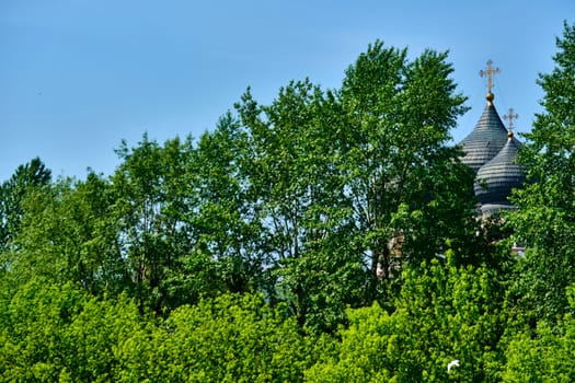 Russia-2020. Church domes of the Orthodox Church behind the trees. general plan. daylight