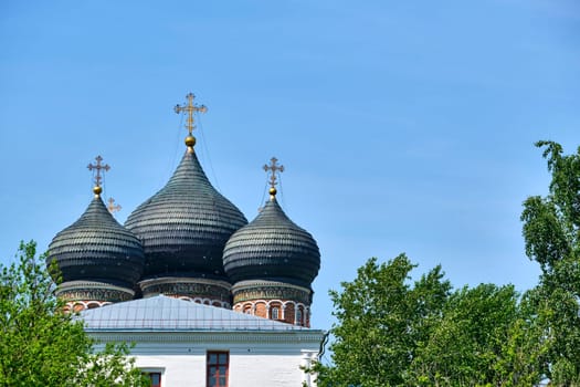 Russia-2020. Church domes of the Orthodox Church behind the trees. general plan. daylight