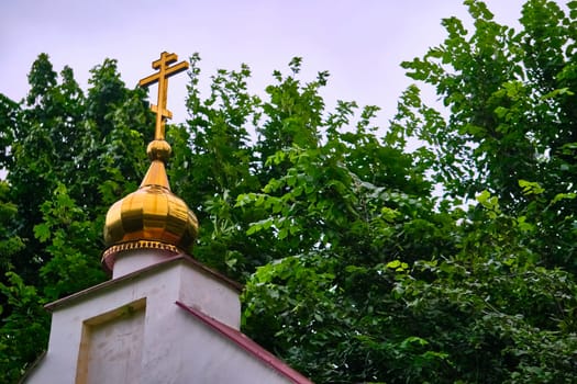 Russia-2020. Church domes of the Orthodox Church behind the trees. general plan. daylight