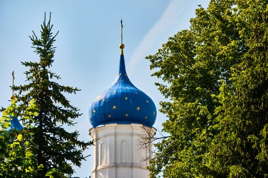 Russia-2020. Church domes of the Orthodox Church behind the trees. general plan. daylight