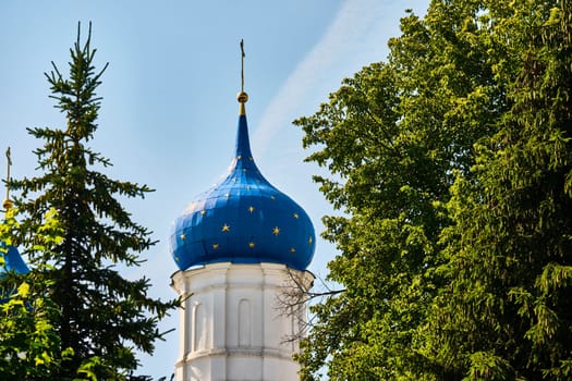 Russia-2020. Church domes of the Orthodox Church behind the trees. general plan. daylight