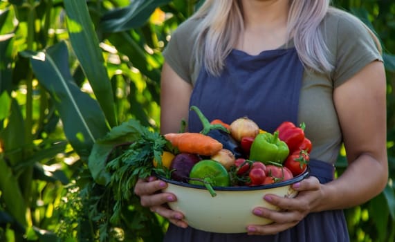 woman in the garden with vegetables in her hands.