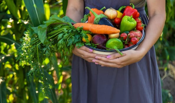 woman in the garden with vegetables in her hands.