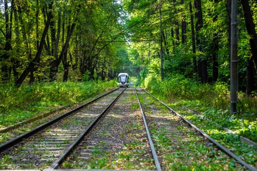 Russia, Moscow 2022. The tram goes through the forest. Tram rails in the corridor of trees in Moscow. color nature