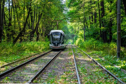 Russia, Moscow 2022. The tram goes through the forest. Tram rails in the corridor of trees in Moscow. color nature