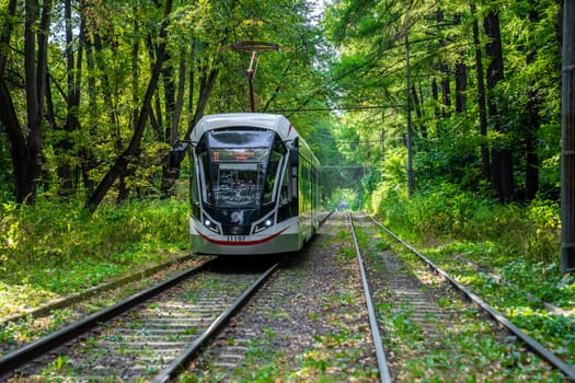 Russia, Moscow 2022. The tram goes through the forest. Tram rails in the corridor of trees in Moscow. color nature