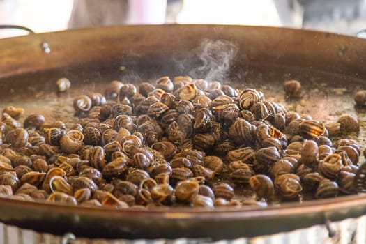 escargot is fried in a frying pan. Selective focus. food.