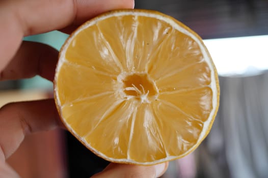 Freshly Cut Lemon Half Held in Fingers Against Blurry Background