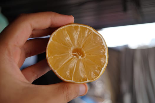 Person Holding a Sliced Lemon Against a Blurred Background