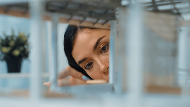 Closeup of young beautiful caucasian skilled architect engineer focusing on checking the house model structure with confident. Creative and professional design concept. Portrait. Immaculate.