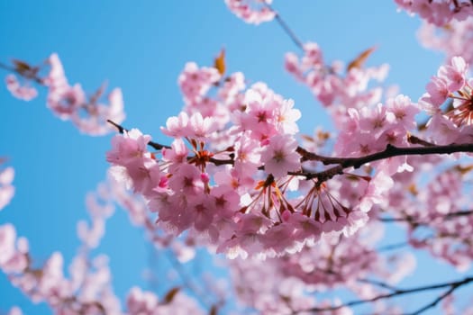 Pink cherry blossom. Garden nature season. Generate Ai