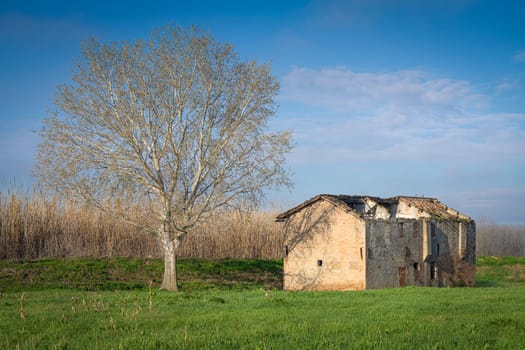 a ruined house in the middle of the countryside