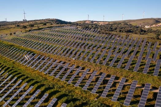 Long rows of photovoltaic panels at solar farm for converting energy of sun to electricity in concept of renewable energy and natural resources. Aerial view