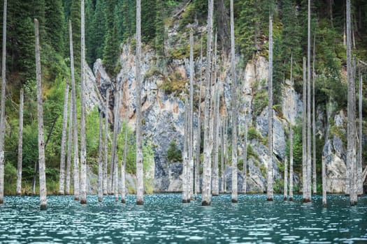 Kaindy lake in Kolsai Koldery gorge, nature of Kazakhstan National Park.