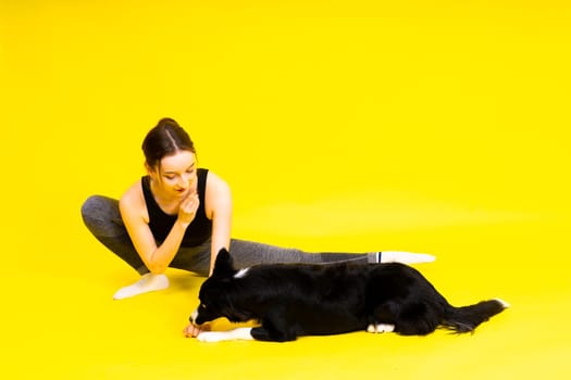 Border collie dog and sport fitness woman in front of a yellow red background