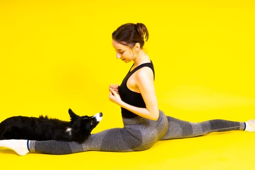 Border collie dog and sport fitness woman in front of a yellow red background