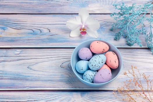 Bowl with colored Easter eggs, an orchid flower and decorative plants on the boards. Top view.