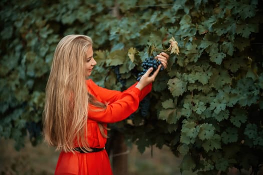 woman vineyards portrait of a happy woman in the summer vineyards at sunset.