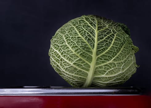 A lonely fresh savoy cabbage on dark background. Whole head of organic savoy cabbage, Space for text, Selective focus.