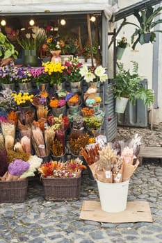 A flower shop filled with a variety of plants and flowers, with a charming bucket of blooms placed in front. Perfect for interior design, events, or flower arranging art