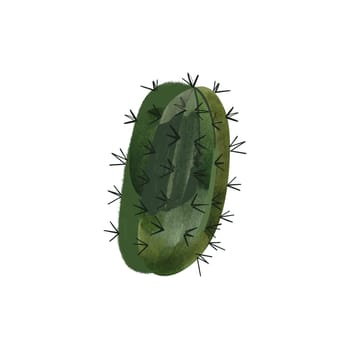 Cactus. Plants for the home. Floriculture. Desert flora. Isolated watercolor illustration on white background. Clipart