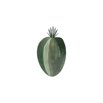 Cactus. Plants for the home. Floriculture. Desert flora. Isolated watercolor illustration on white background. Clipart