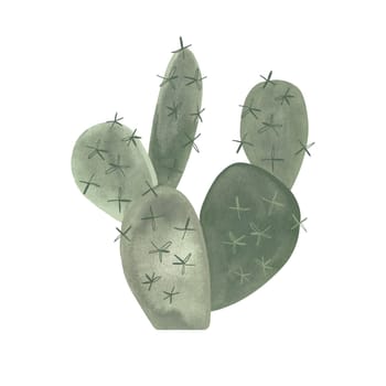 Prickle pear. Cactus. Plants for the home. Floriculture. Desert flora. Isolated watercolor illustration on white background. Clipart