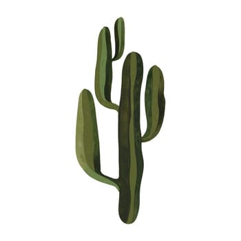 Saguaro. Cactus. Plants for the home. Floriculture. Desert flora. Isolated watercolor illustration on white background. Clipart