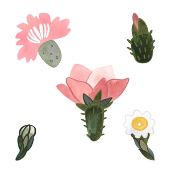 Cactus flowers set. Plants for the home. Floriculture. Desert flora. Isolated watercolor illustration on white background. Clipart