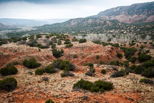 Cloudy Day at Palo Duro Canyon State Park, Texas