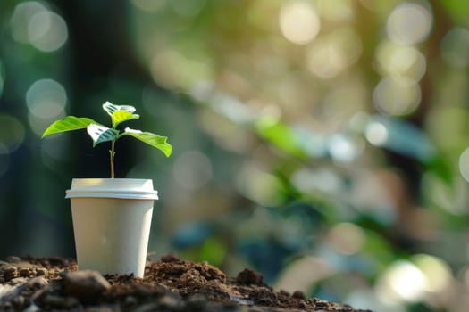 Sprout growing in the coffee cup. environmentally friendly, recycling, generated with AI.