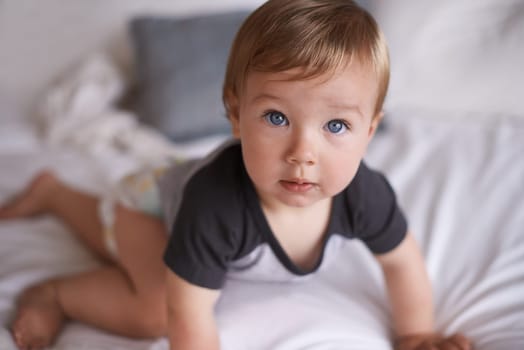 Curious, baby and crawl on bed in portrait, boy and kid for motor skills in bedroom on weekend. Child development, toddler and calm or comfortable, wellness and learn for health and growth in home.