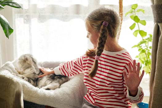 Little girl with plaits strokes purebred cat sitting on windowsill with plants. Love and care for animal in hammock in light apartment slow motion