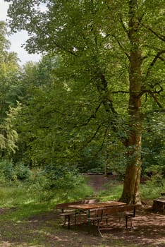 Idyllic picnic area at Urach waterfall cascade “Uracher Wasserfall“ under a maple tree (Acer) with colorful foliage in autumn season. Beer tent set covered with fallen leaves in natural reserve forest