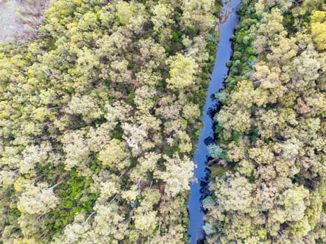 DOVER, AUSTRALIA - FEBRUARY 23: Forestry Tasmania continues logging of Southwest National Park near Dover, a World Heritage Area. This area contans old growth native forest, and home to the critically endangered Swift Parrot. Bob Brown Foundation continues to fight to protect these areas for both the environment and future generations. Images taken on February 23, 2024.