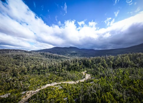 DOVER, AUSTRALIA - FEBRUARY 23: Forestry Tasmania continues logging of Southwest National Park near Dover, a World Heritage Area. This area contans old growth native forest, and home to the critically endangered Swift Parrot. Bob Brown Foundation continues to fight to protect these areas for both the environment and future generations. Images taken on February 23, 2024.