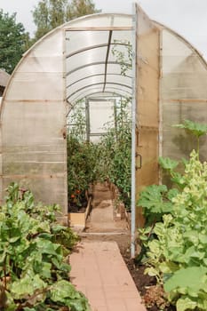 Large greenhouses for growing homemade vegetables. The concept of gardening and life in the country