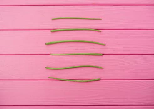 Summer abstract background mockup template free copy space for text pattern sample top view above on pink wooden board. blank empty area for inscription. lines stems stalks of dandelions lie parallel