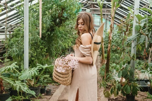 A beautiful young woman takes care of plants in a greenhouse. The concept of gardening and an eco-friendly lifestyle