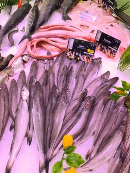 FRANCE, BORDEAUX, February, 9, 2024: Assortment of fresh daily fish on ice market in supermarket, High quality photo