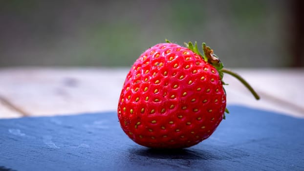 Close up of fresh strawberry showing seeds achenes. Details of a fresh ripe red strawberry.